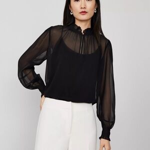 Ann Taylor Black Sheer Blouse
